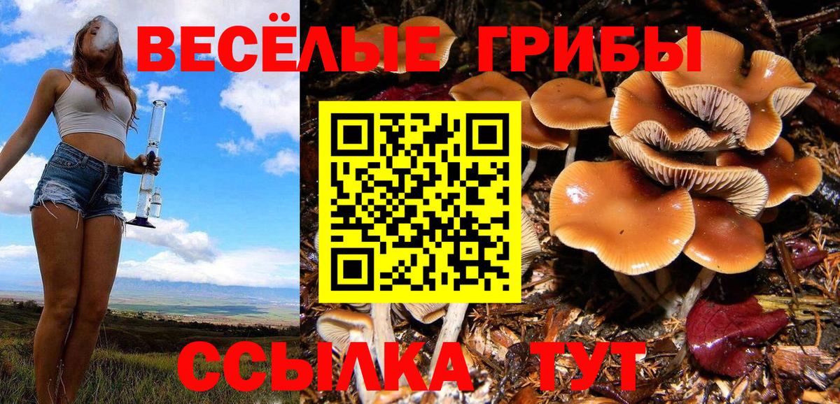 Энгельс  Псилоцибиновые грибы MAGIC MUSHROOMS  Вход с VPN 