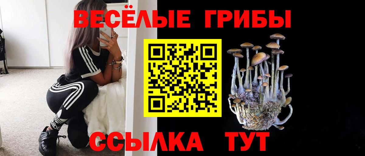 Галлюциногенные грибы прущие грибы Энгельс
